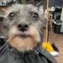 emoji_20 Discord Emoji | freaks r us