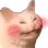 catBlush catBlush