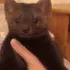 ugh