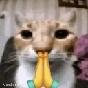 catpray