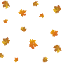 3_leavesfalling