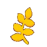 3_yellowleaf