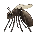 squitter