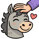Kosta_Pet