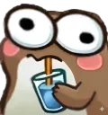 CacaFrog
