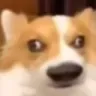 1111857933093978192