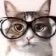 melvin_cat