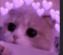 :cute: