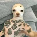 emoji_67