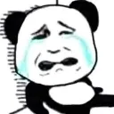 cri_panda