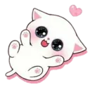 catcute