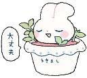 bunnyplant
