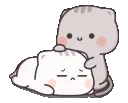 cutecatspatting
