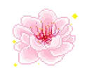 ccpinkblossom8