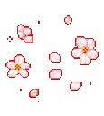 flower1