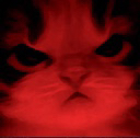 kittyangy Discord Emoji from Starpatch
