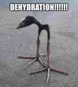 DEHYDRATION