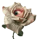 eyeflower