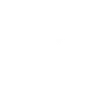 Paintbrush