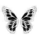 b_1butterfly