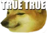 true_true