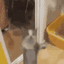 mellcat