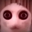 splashystare