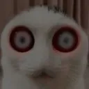 alienstare