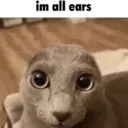 imallears