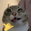 heherenuu
