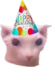 ccgg_bingusbirthday Discord emoji
