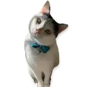 emoji_5