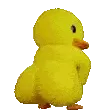 duckbetwerk
