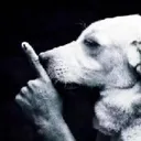 shhhh