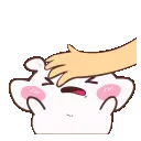 9072hamsterbonk