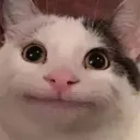 Emojidubsy