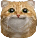 Straight_Face_Cat