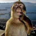 mentally_handicapped