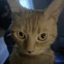 bPwp1AyzbXLbO58s0g80wlY93KdVb5o9