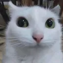 Ora