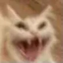 AAAAAAAAAAAAAAA
