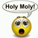 A yellow smiley face with wide, shocked eyes and an open mouth, featuring a speech bubble that says Holy Moly.