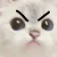 angy
