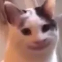 2_catsmile