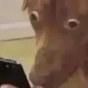 WTFdidiread