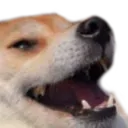 dogKEK