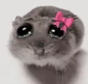 ro_hamster