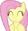 nfluttershyhappy