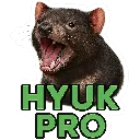 hyuk_pro hyuk_pro