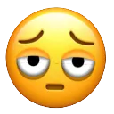 <:tired:1412190241577635931>